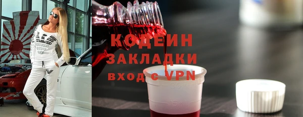 индика Арсеньев