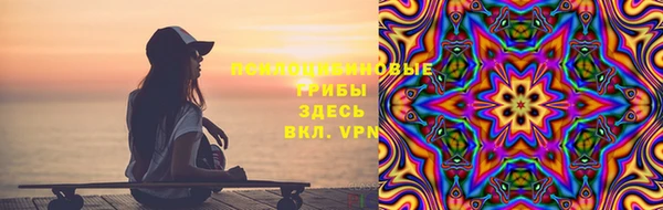 индика Арсеньев