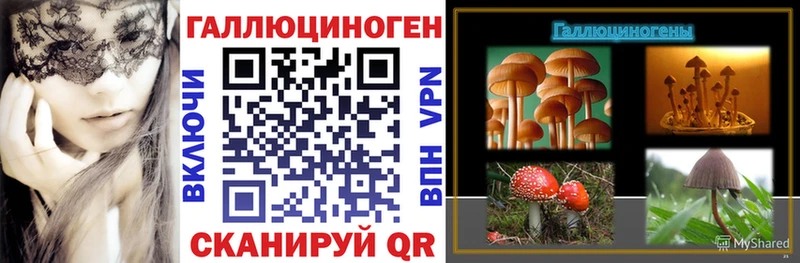 Псилоцибиновые грибы мицелий  Жирновск 
